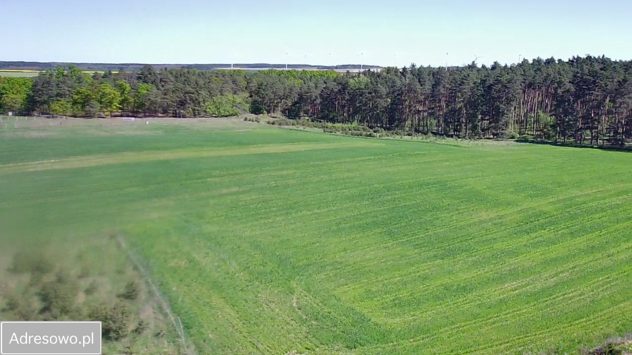 Działka rolno-budowlana Laski Lubuskie. Zdjęcie 5