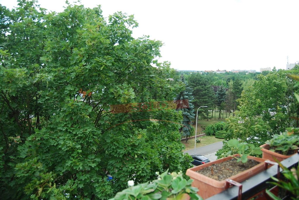 Mieszkanie 3-pokojowe Opole, ul. Stefana Grota-Roweckiego. Zdjęcie 7