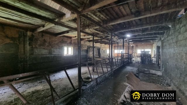 siedlisko, 4 pokoje Waliły-Dwór. Zdjęcie 15