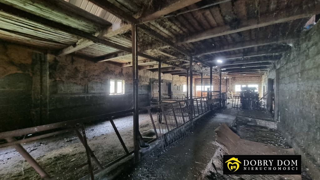 siedlisko, 4 pokoje Waliły-Dwór. Zdjęcie 15