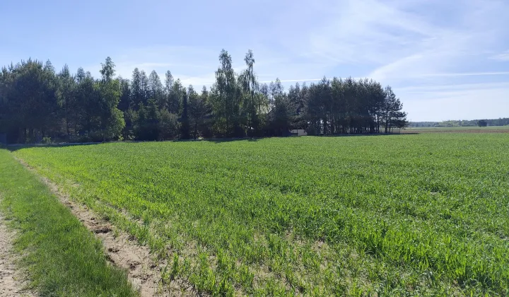 Działka budowlana Nowy Strachocin