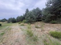 Działka rolno-budowlana Aleksandria Aleksandria Druga, ul. Sosnowa. Zdjęcie 4