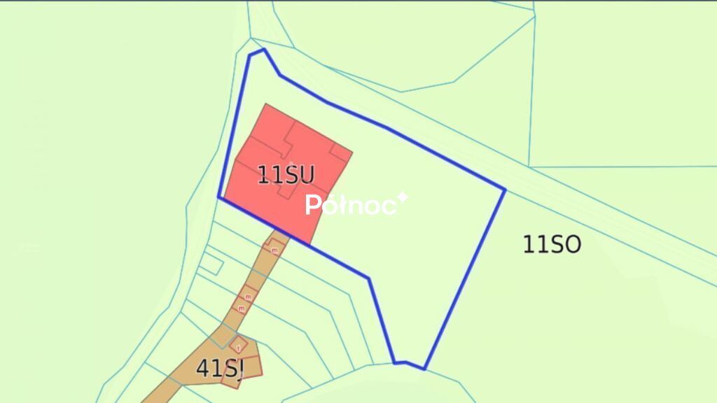Nieruchomość komercyjna Rudziska Pasymskie. Zdjęcie 14