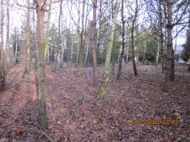 Działka rolno-budowlana Zduńska Wola, ul. Romualda Traugutta. Zdjęcie 2