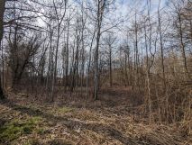 Działka budowlana Kalina Górecka. Zdjęcie 2