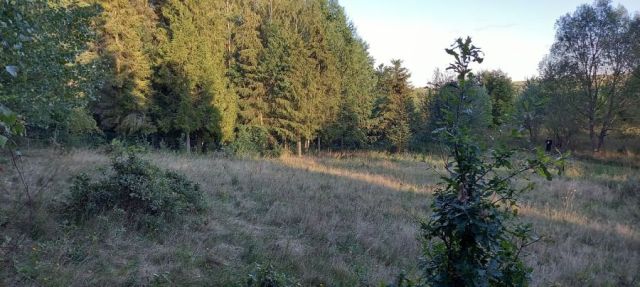 Działka rekreacyjna Czapielsk, ul. Słonecznikowa. Zdjęcie 1