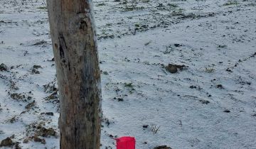 Działka budowlana Pieniężno, ul. Sienkiewicza