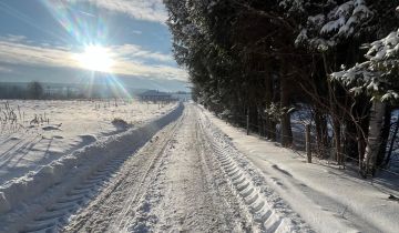 Działka budowlana Międzylesie, Działka budowlana 12 ar - Okazja!