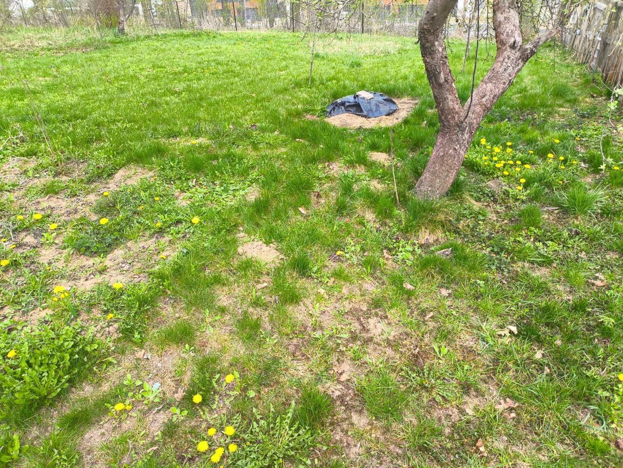 Działka rod Elizówka. Zdjęcie 3