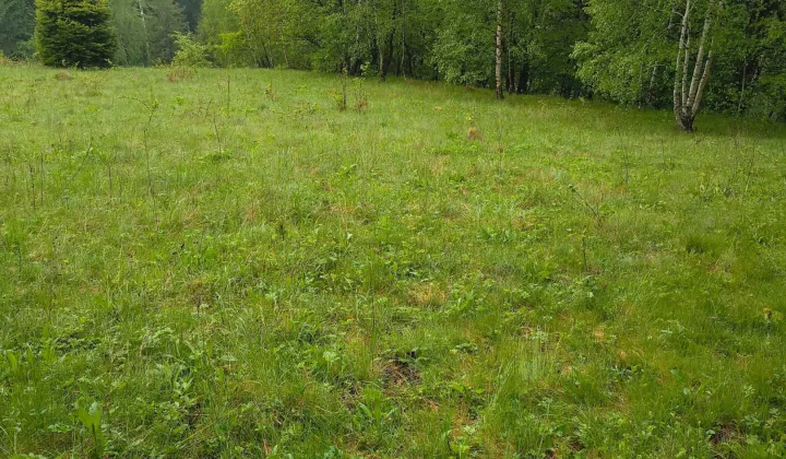 Działka budowlana Wisła