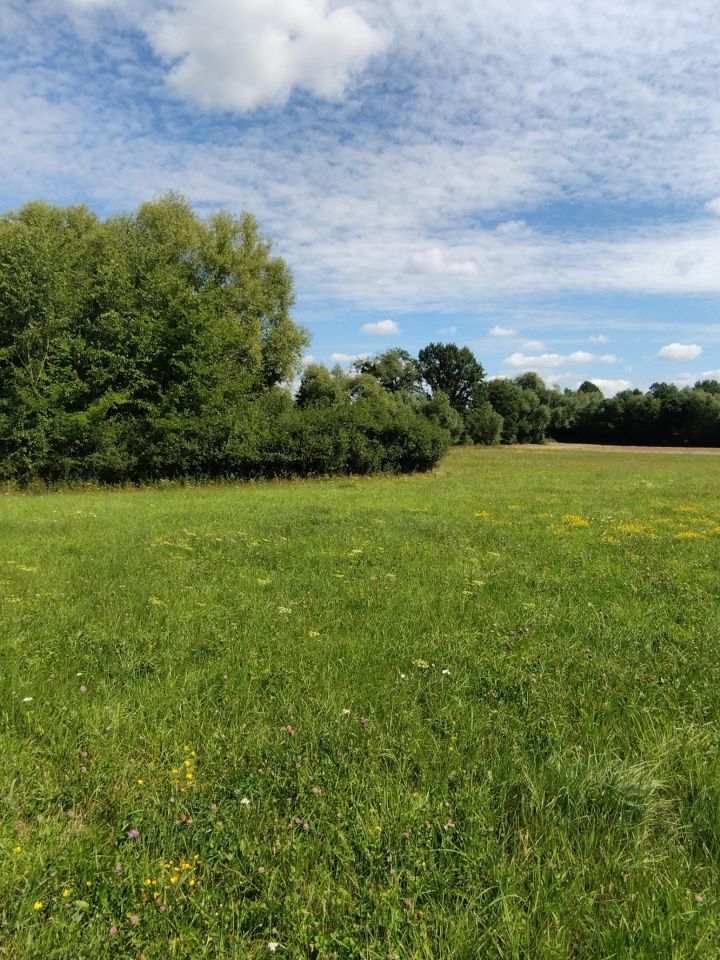 Działka budowlana Sobolew, ul. Podlasie. Zdjęcie 2