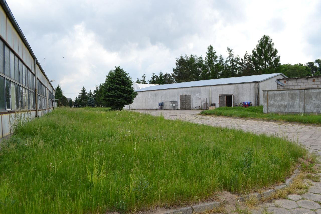 Hala/magazyn Złotniki Kujawskie, ul. Jęczmienna. Zdjęcie 8