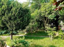 Działka rod Zielona Góra Centrum. Zdjęcie 3