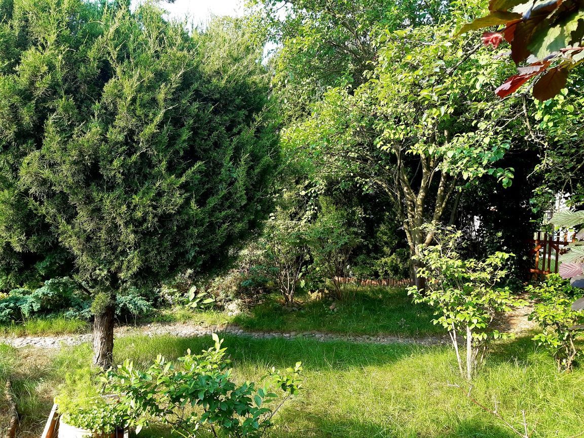 Działka rod Zielona Góra Centrum. Zdjęcie 4