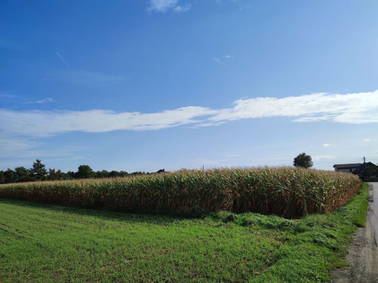 Działka budowlana Studzienice, ul. Sarenek. Zdjęcie 4