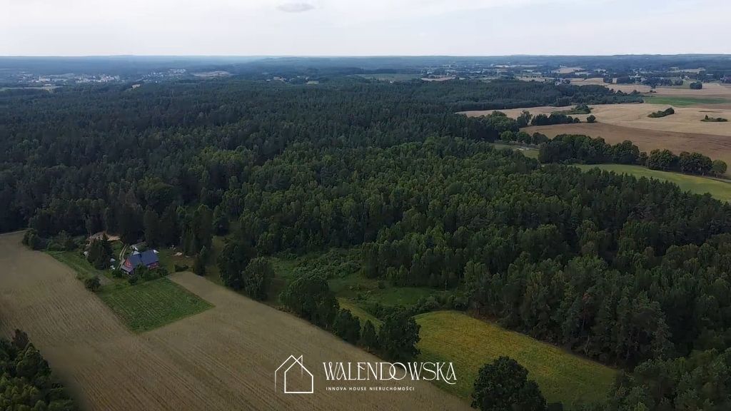 Działka leśna Pasieka. Zdjęcie 8