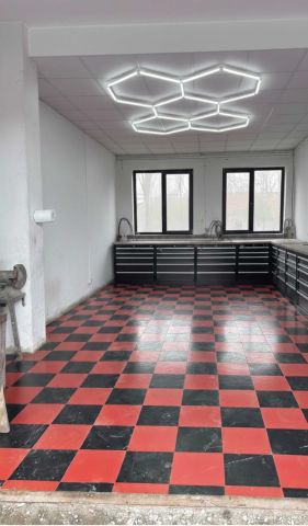 Lokal Wrocław Stare Miasto. Zdjęcie 1