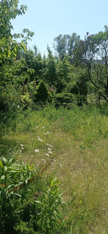 Działka rod Łódź Widzew, ul. Lodowa. Zdjęcie 57