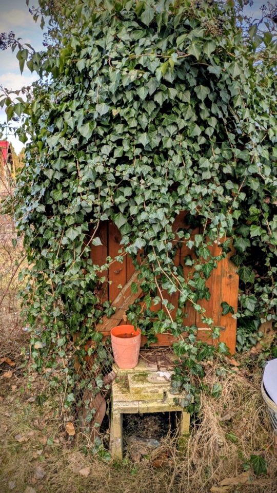 Działka rod Szczecin Zdroje. Zdjęcie 7