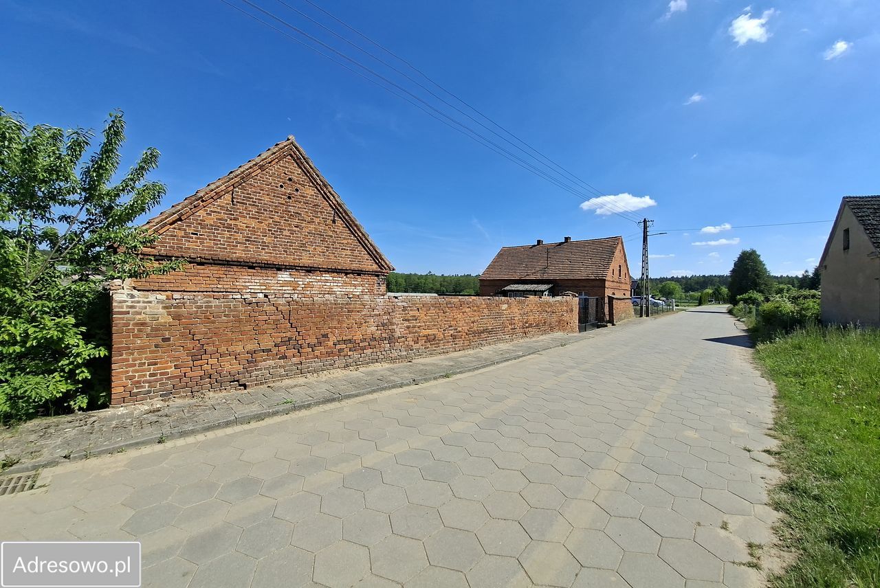 Działka siedliskowa Trzebania. Zdjęcie 3