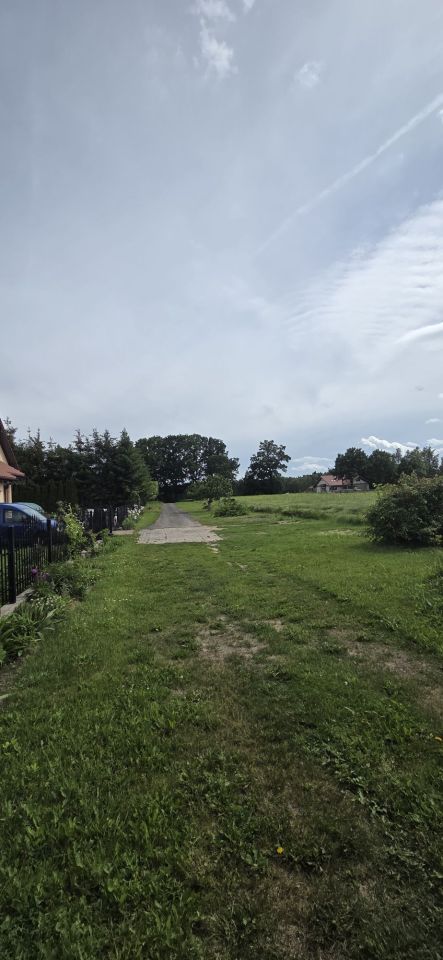 Działka rolno-budowlana Przemocze. Zdjęcie 4