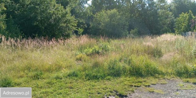 Działka budowlana Tarnowskie Góry, ul. Skośna. Zdjęcie 1