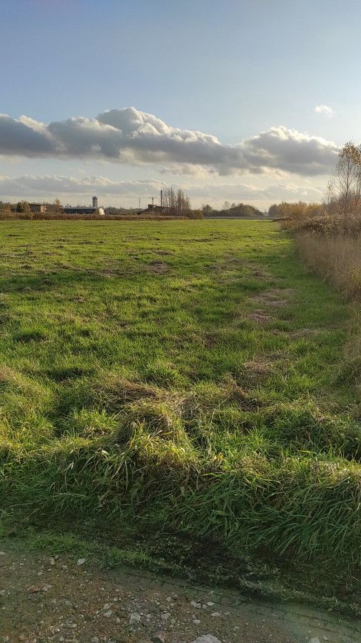 Działka inwestycyjna Radzymin Centrum, ul. Wołomińska. Zdjęcie 12