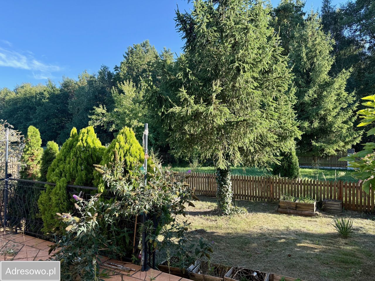 gospodarstwo Chojny. Zdjęcie 8