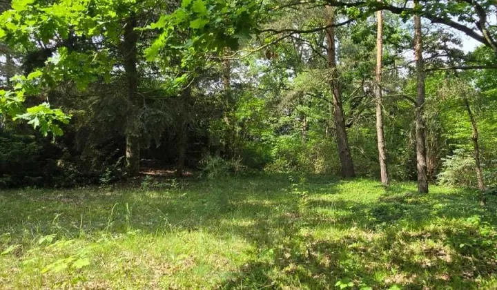 Działka budowlana Arciechów
