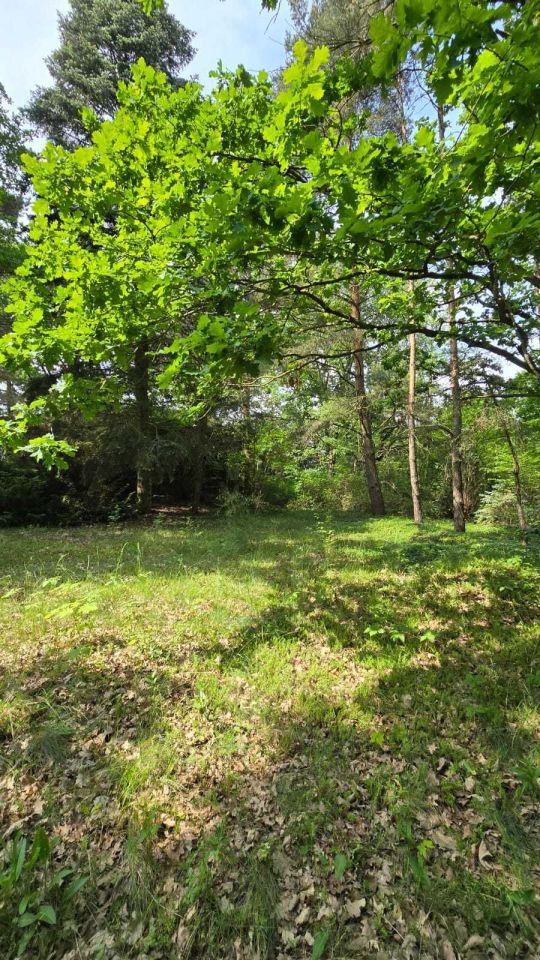 Działka budowlana Arciechów. Zdjęcie 5