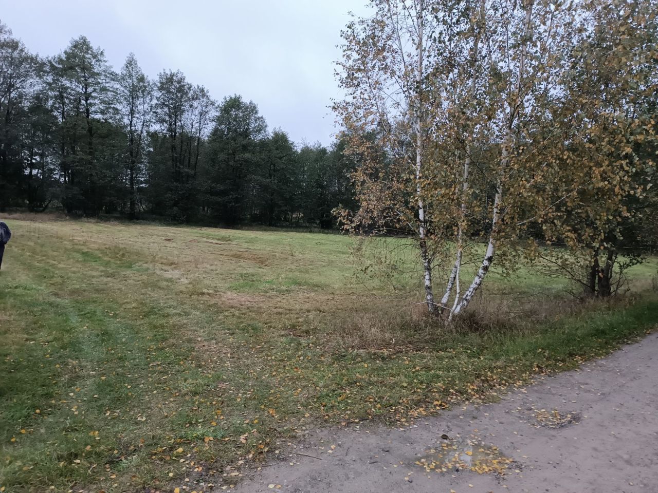 Działka rolna Olszyc-Folwark. Zdjęcie 6