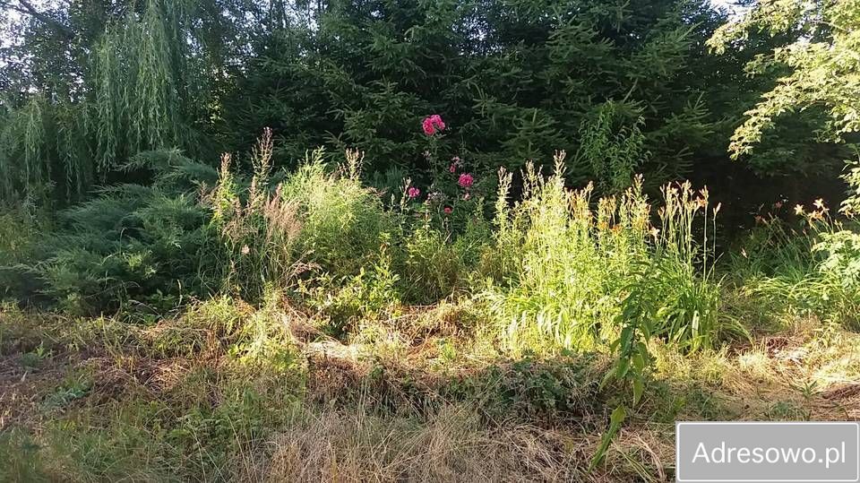 dom wolnostojący, 5 pokoi Czaple. Zdjęcie 3