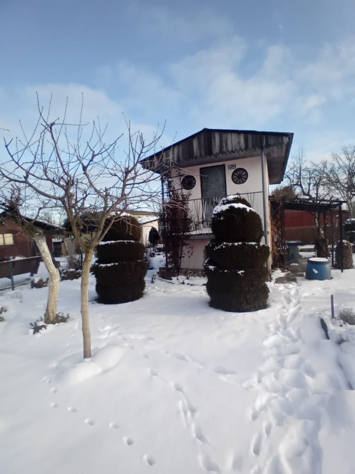 Działka rod Czerwieńsk. Zdjęcie 5