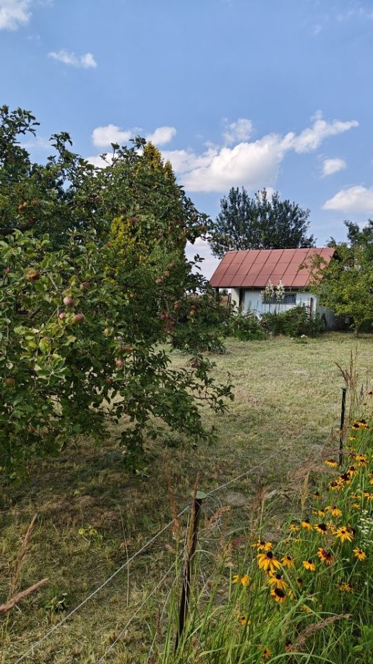 Działka rod Iłża. Zdjęcie 4