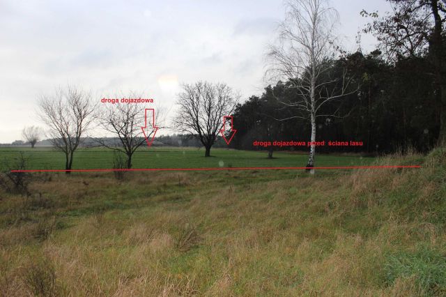 Działka siedliskowa Wólka Wysoka. Zdjęcie 7
