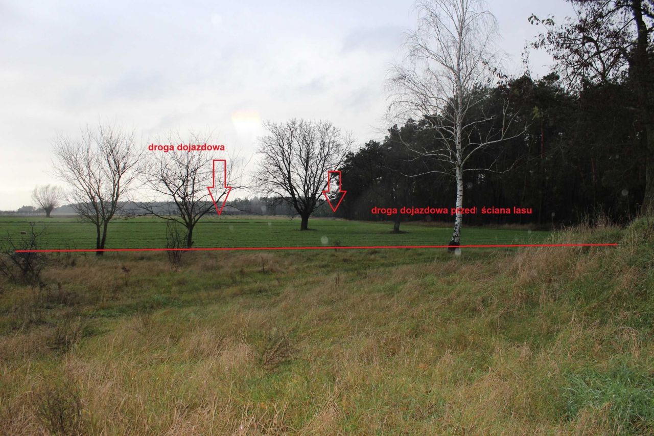 Działka siedliskowa Wólka Wysoka. Zdjęcie 7