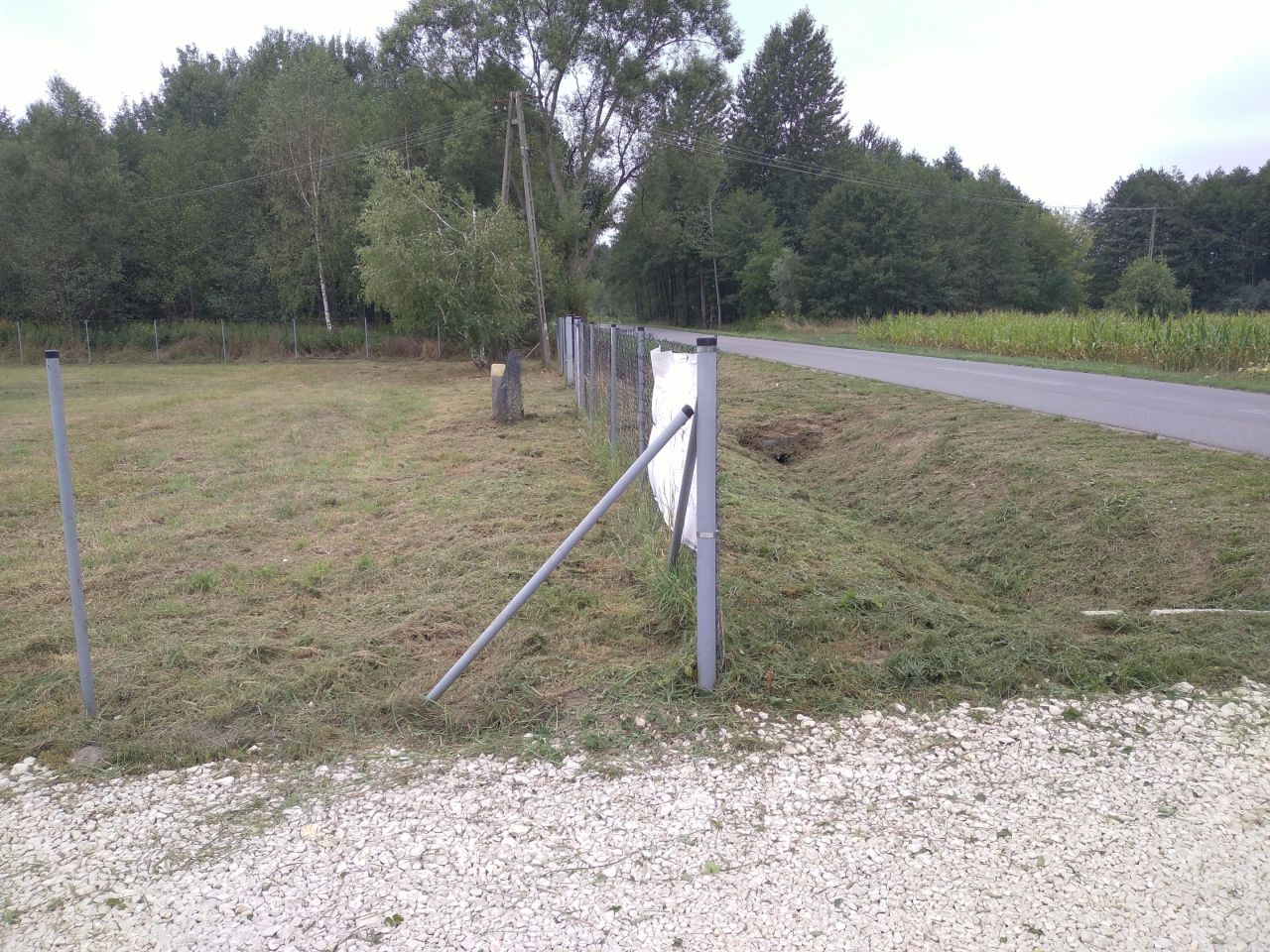 Działka rolno-budowlana Lubasz. Zdjęcie 12