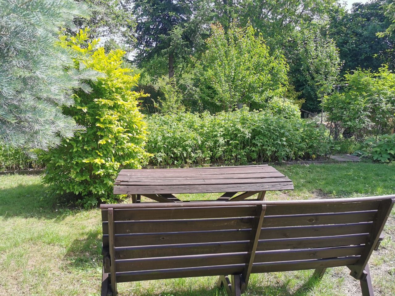 Działka rod Gliwice Trynek, ul. Góry Chełmskiej. Zdjęcie 6