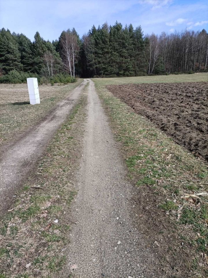 Działka rolna Duńkowice. Zdjęcie 6