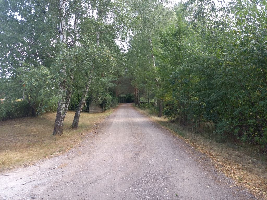 Działka budowlana Korzeniówka. Zdjęcie 3