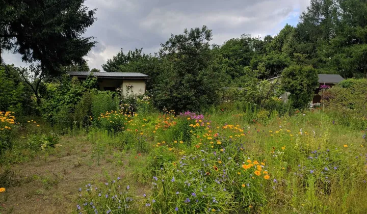 Działka rod Trzcianka