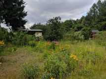 Działka rod Trzcianka