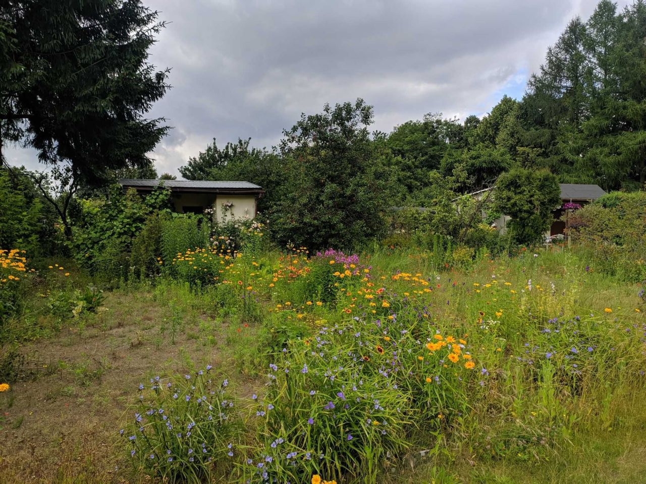 Działka rod Trzcianka