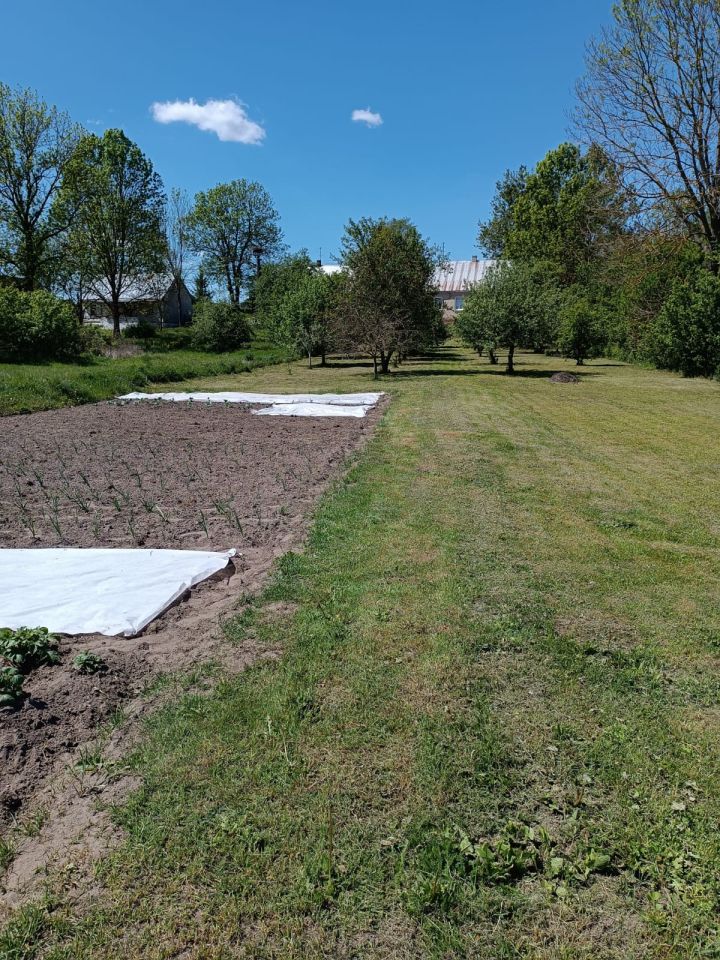 Działka siedliskowa Starożyńce. Zdjęcie 11