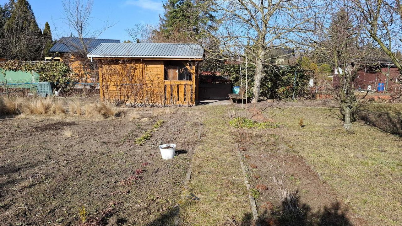 Działka rod Kutno. Zdjęcie 4