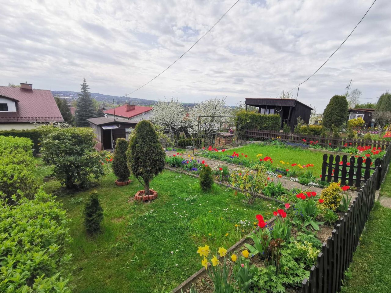 Działka rod Cieszyn. Zdjęcie 2