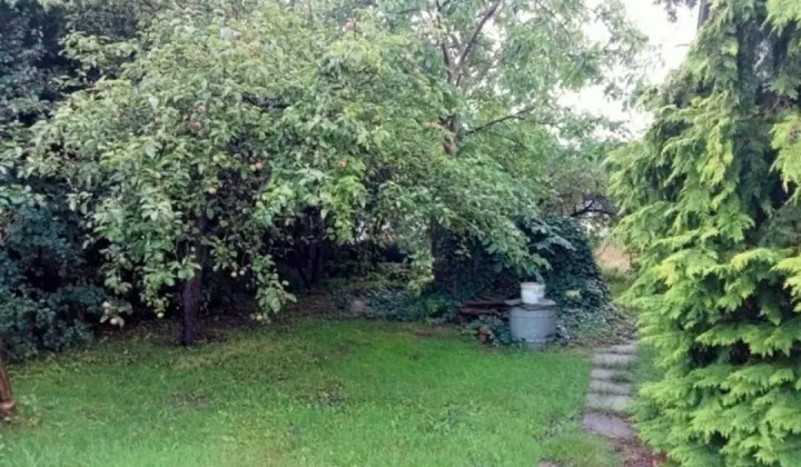 Działka rekreacyjna Gdańsk Stogi, ul. Kaczeńce