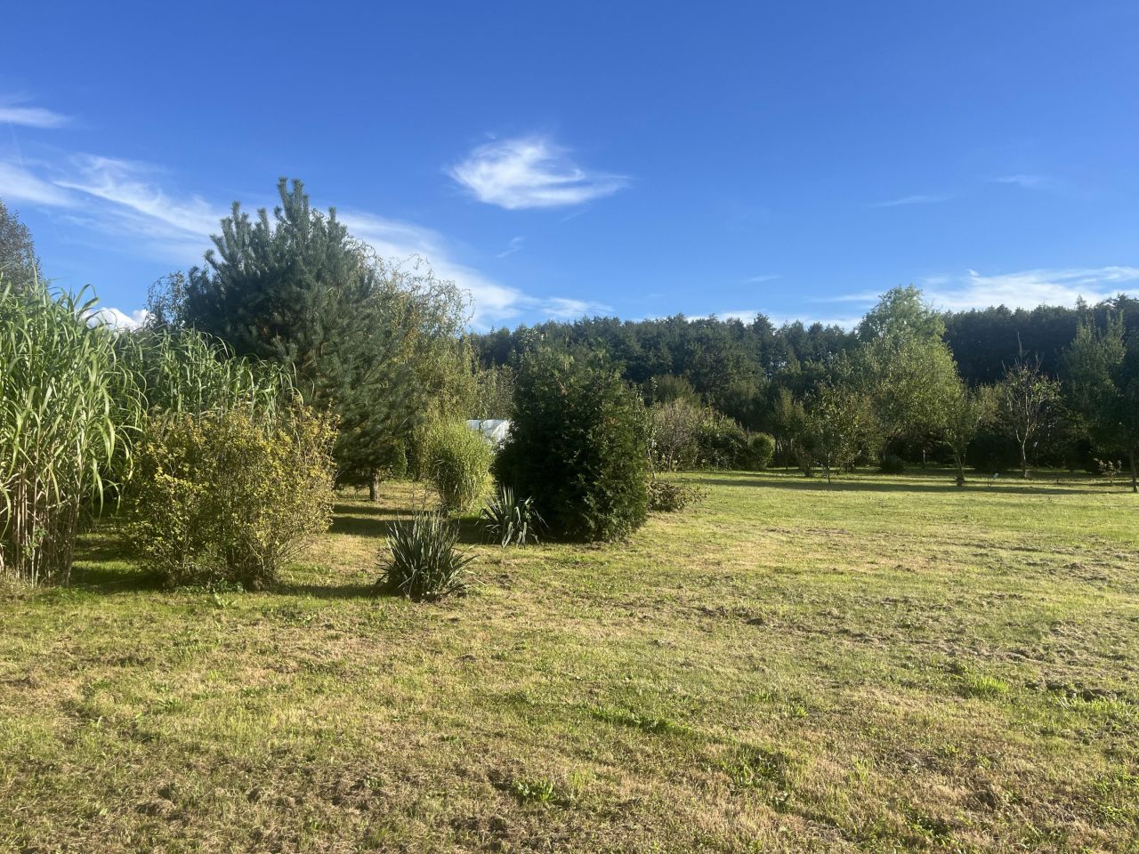 Działka budowlana Mrozów, ul. Bolesława Chrobrego. Zdjęcie 2