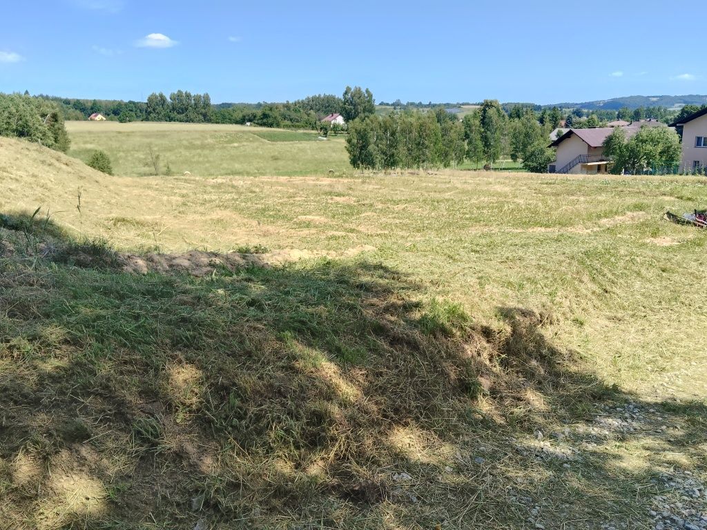 Działka rolna Nowy Borek. Zdjęcie 7