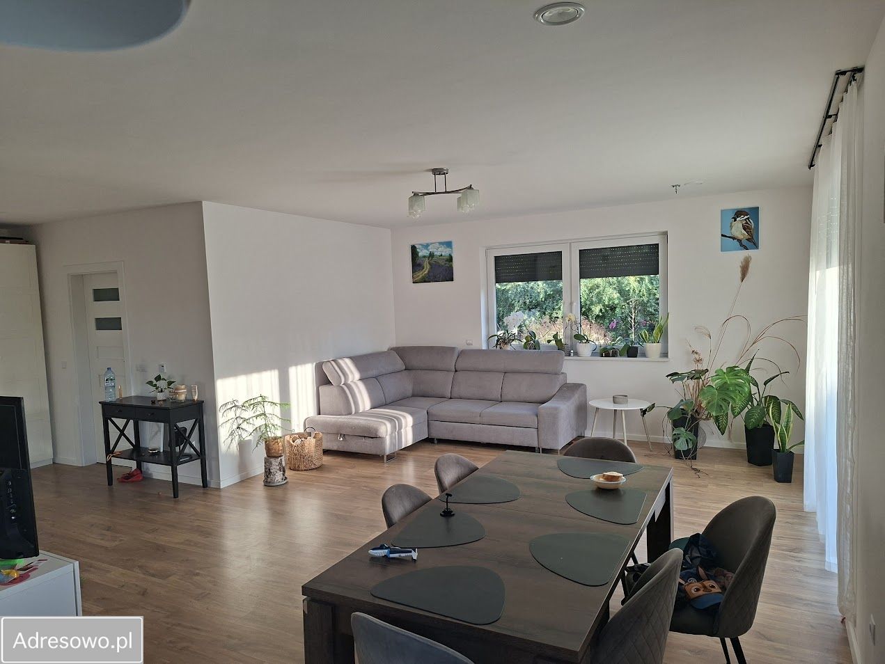 dom wolnostojący, 4 pokoje Wola Krasienińska. Zdjęcie 4